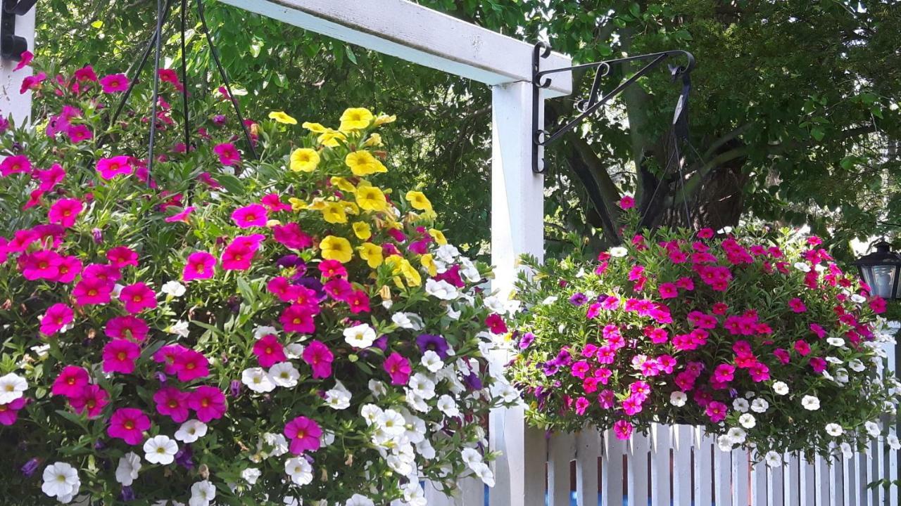 Bed and Breakfast Historic Wilson-Guy House Niagara-on-the-Lake Exterior foto